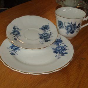Elizabethan Taylo Kent bone china teacup saucer luncheon set plate blue roses